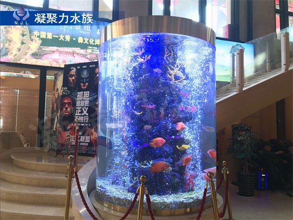 大型觀賞魚缸廠家供應